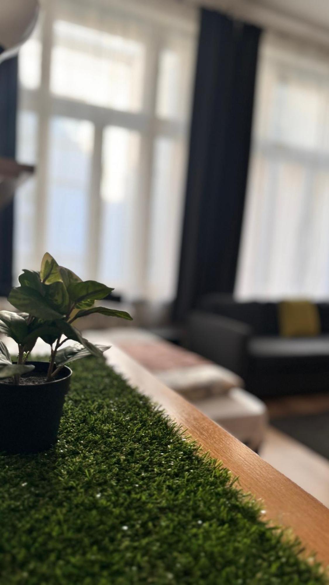 Central Walk Fashionstreet Apartmnts Budapešť Exteriér fotografie
