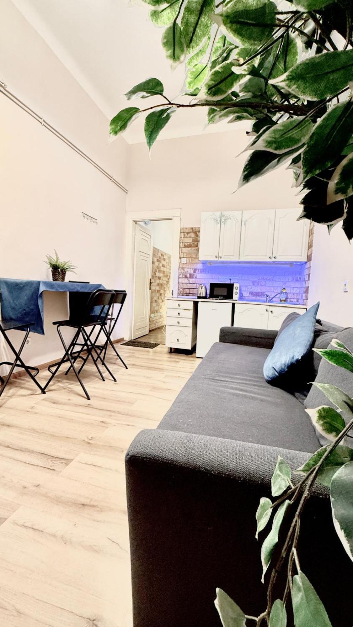 Central Walk Fashionstreet Apartmnts Budapešť Exteriér fotografie