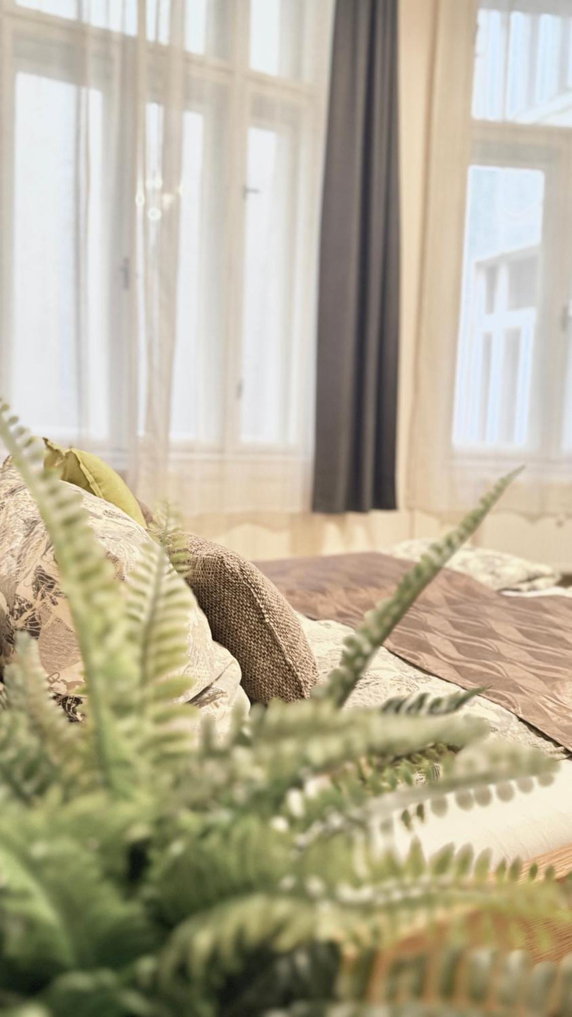 Central Walk Fashionstreet Apartmnts Budapešť Exteriér fotografie